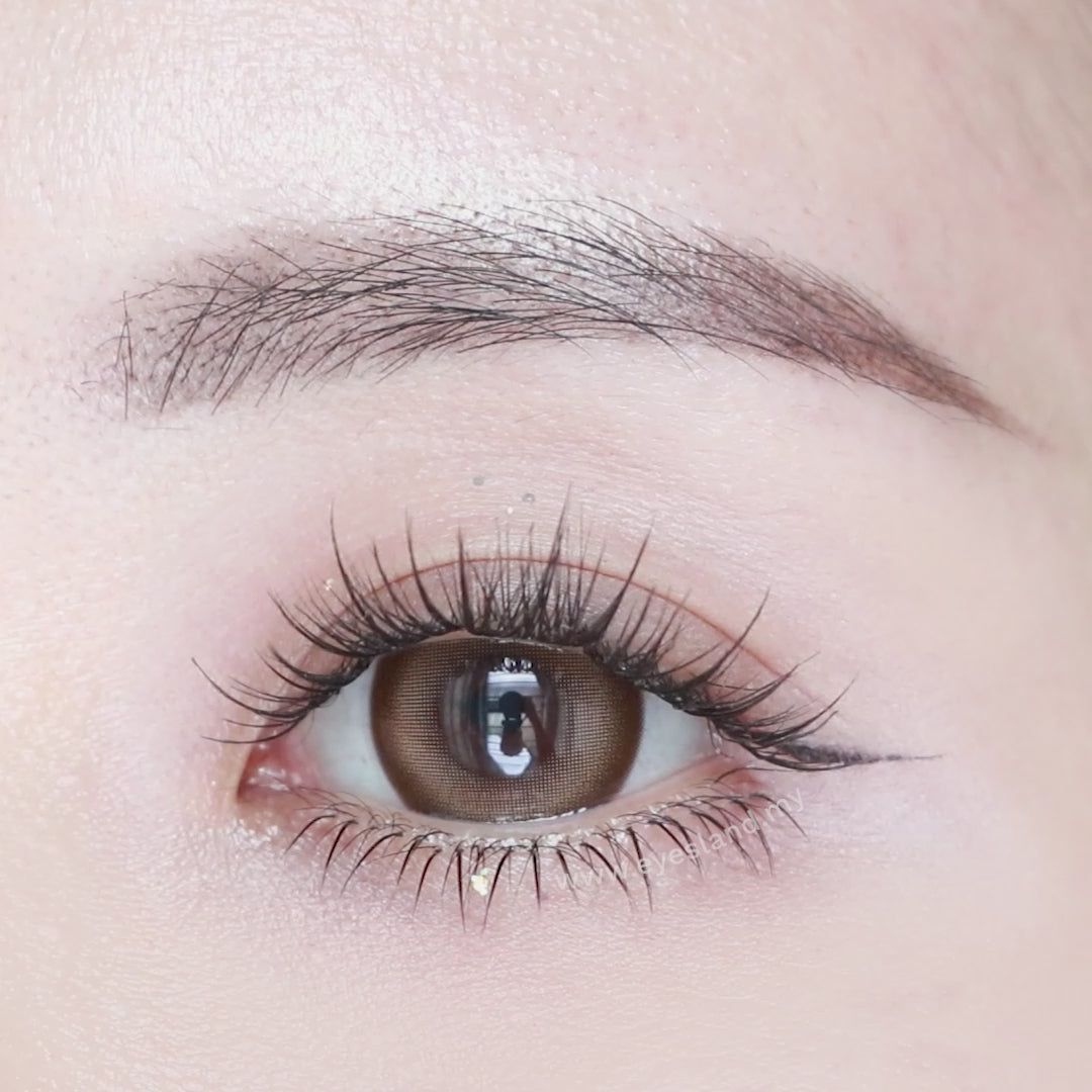 Mousse Choco-Mi Tesoro 1 Day Color Con 10pcs  (Eff dia:16mm)